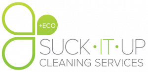 Big Logo